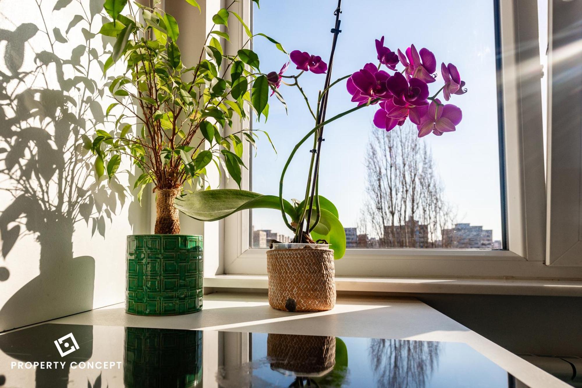 Blissful Retreat Apartment Bucharest Exterior photo